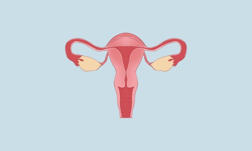 子宫腺肌瘤做宫腔镜能做好吗-子宫腺肌瘤做试管婴儿网 - 子宫腺肌瘤做宫腔镜能做好吗,子宫腺肌瘤需要做手术吗