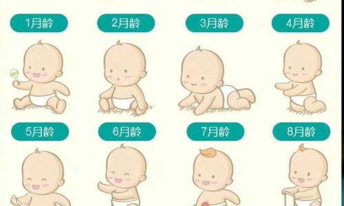 子宫腺肌瘤做宫腔镜能做好吗-子宫腺肌瘤做试管婴儿网 - 子宫腺肌瘤做宫腔镜能做好吗,子宫腺肌瘤需要做手术吗